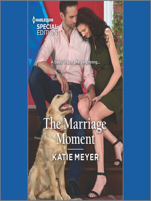 cover image of The Marriage Moment